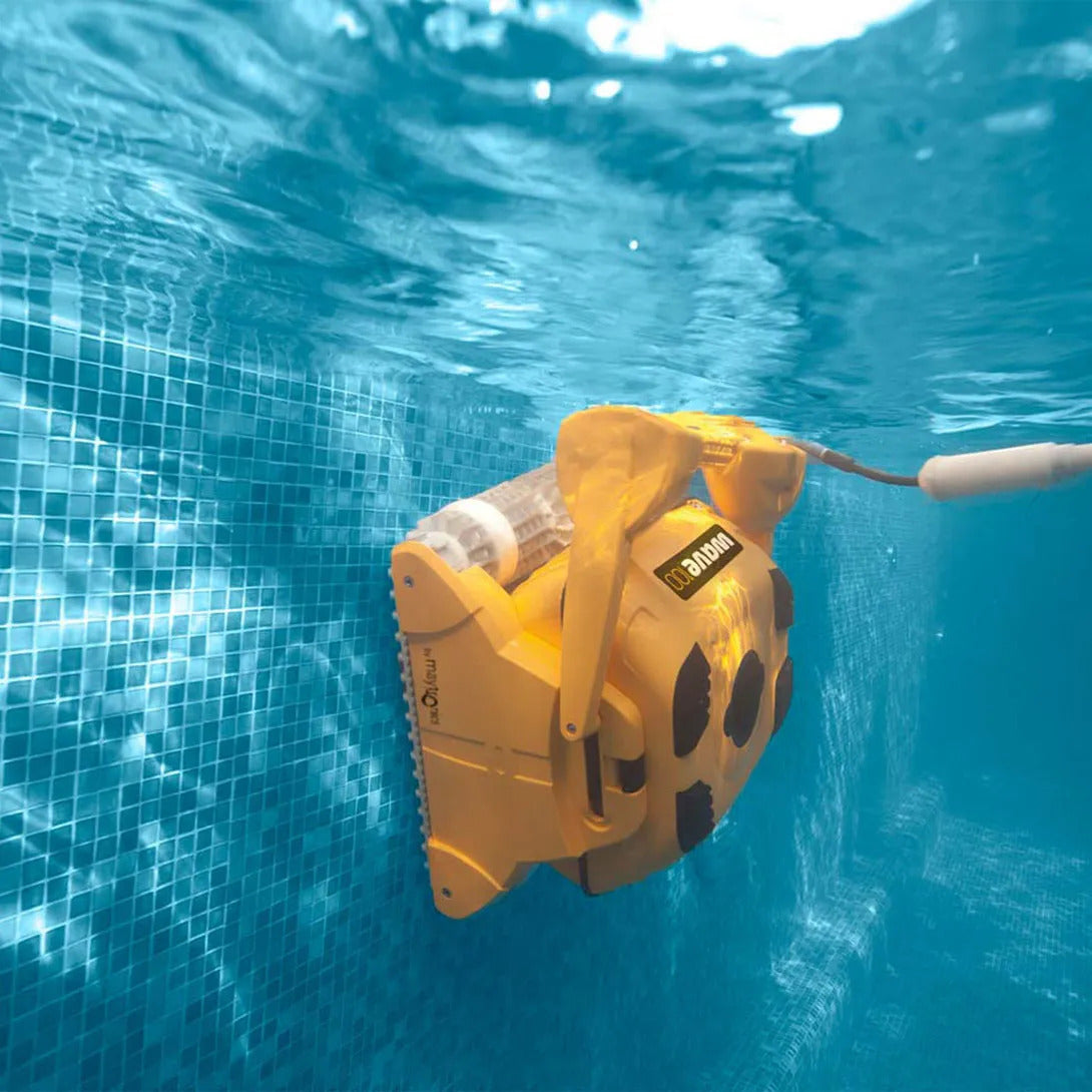 Robot piscine XL - Dolphin Wave 100